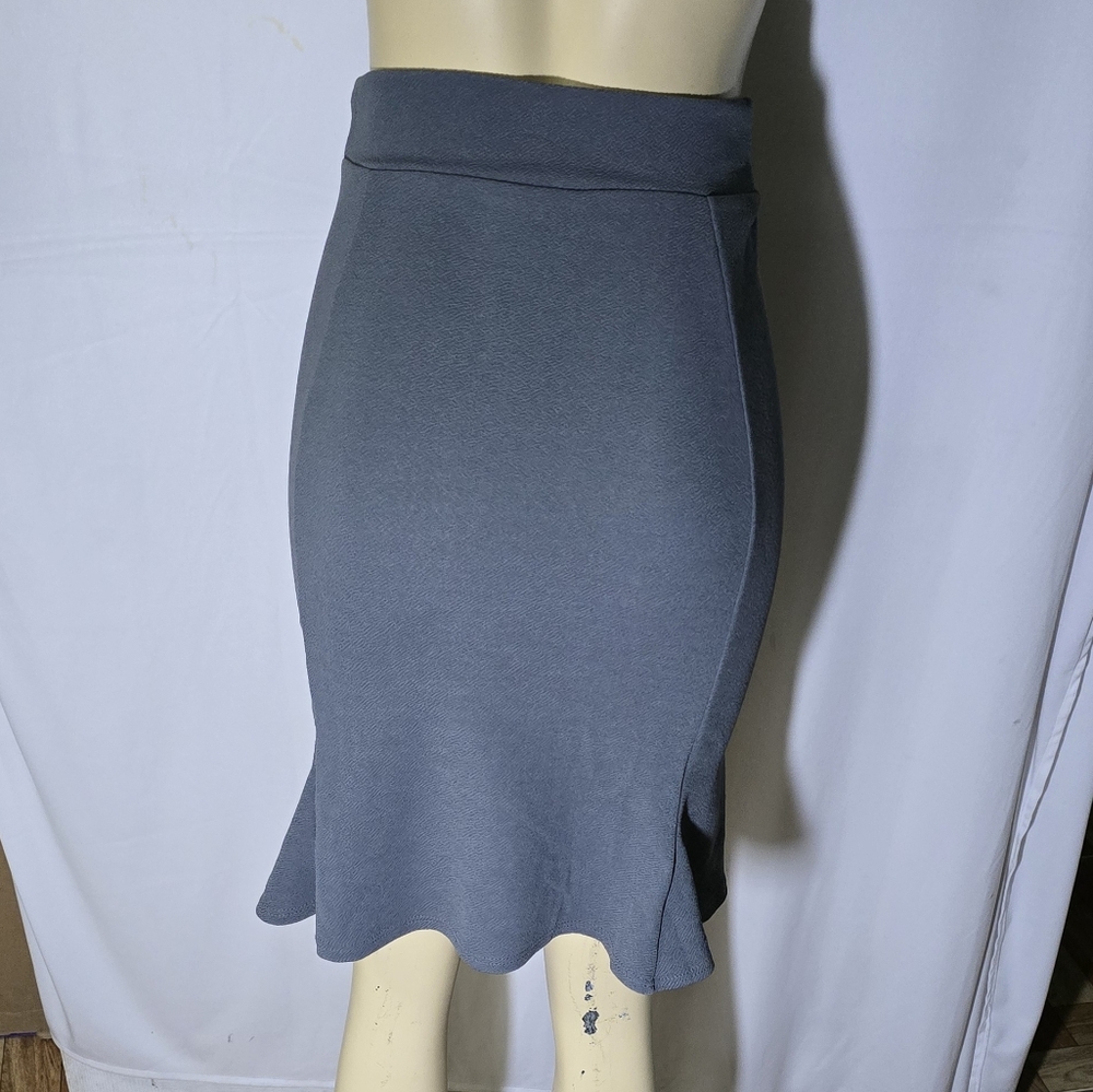 Elegant Gray Women's Skirt
